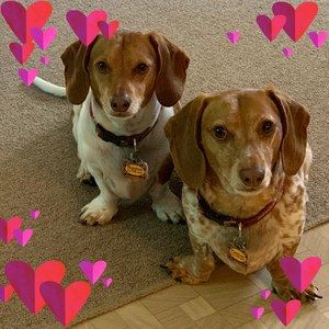 Meet your Posher, Kay